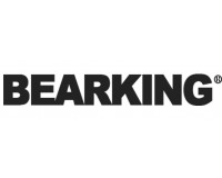 Воблеры Bearking на сайте voblery-bearking.com.ua
