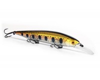 Bearking Mo-Do Faith 115SF H