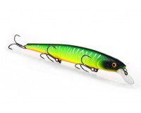 Bearking MagSquad 128SP D Hot Tiger