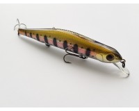 Bearking Orbit 110SP F