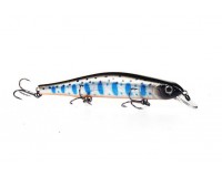 Bearking Orbit 110SP V