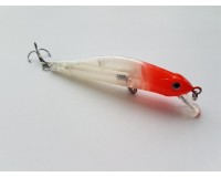 Bearking Orbit 80SP A