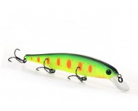 Bearking Riprizer 110F N