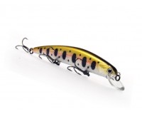 Bearking Varuna 110SP G